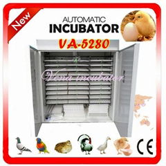 Vena brand experienced and automatic incubator at best price(VA-5280)