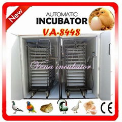 setter hatch commercial poultry incubator on sale (VA-8448)