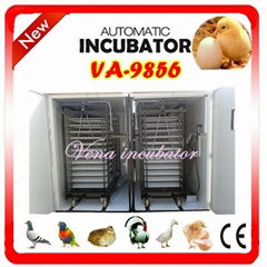 top selling automatic chicken incubator for saleVA-9856