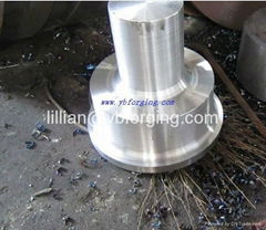 Forging steel shaft 