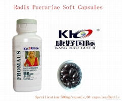 High Quality Radix Puerariae Soft