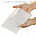 Disposable Washing Glove