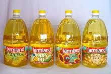 Corn Oil