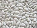 White Kidney Beans 3