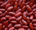 Red Kidney Beans 1