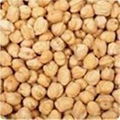 Chickpeas 1