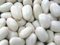 White Kidney Beans