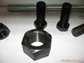 A182 stud bolt hex bolt hex nut 1