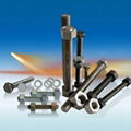 Hastelloy stud bolt hex bolt 1