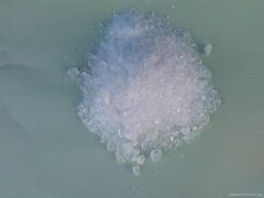 ZJ Polyester Resin for TGIC Powder