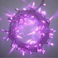 Purple 50 Superbright LED String Lights