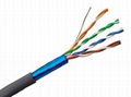 CAT5e FTP Cable 1