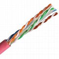 CAT6A UTP Cable 1