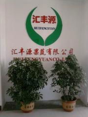 SHANDONG CHENGWU HUIFENGYUAN FRUIT &VEGETABLES Co.LTD