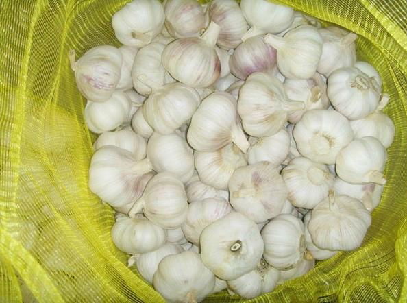 2013 China crop normal white garlic 2