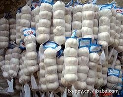 2013 China crop normal white garlic 3
