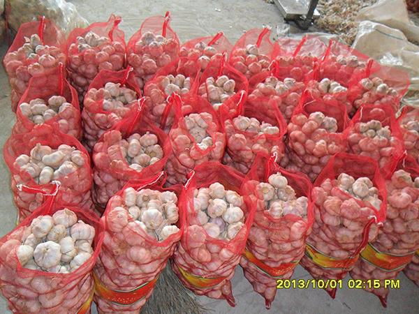 2013 pure white garlic high quality 2