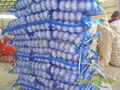 2013 China new crop pure white fresh garlic 4.5cm 1