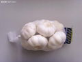 China white garlic red garlic in 4.5cm  1