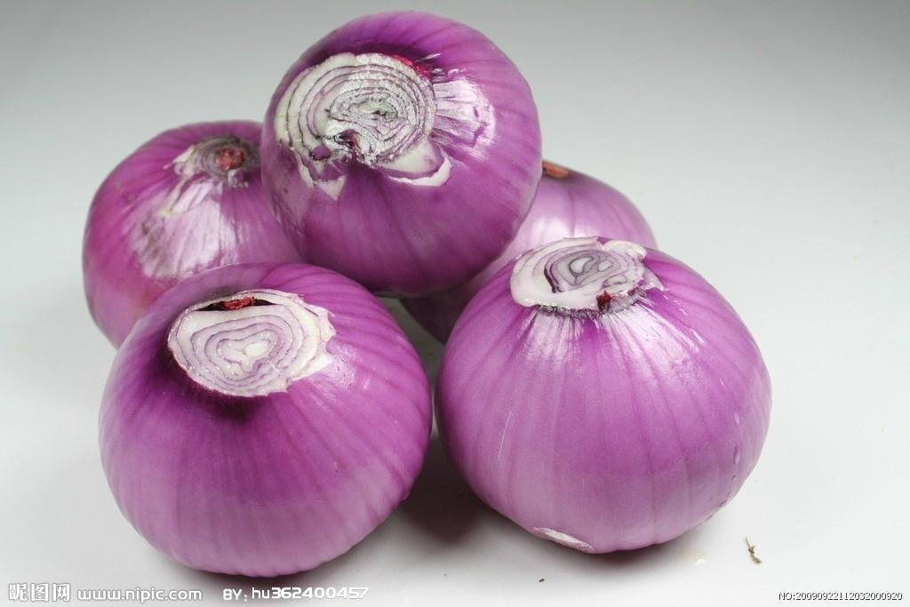 china red onion 