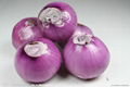 china red onion