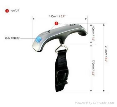 electronic l   age  scale