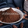 Alkalized cocoa powder 1