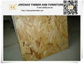 High quality OSB(Oriented Strand Board) 1