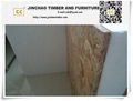 High quality OSB(Oriented Strand Board) 3