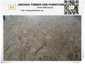 High quality OSB(Oriented Strand Board) 5