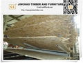 China OSB (Oriented strand board)