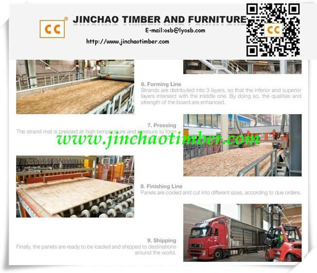 China OSB (Oriented strand board) 5