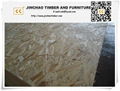 25mm OSB from China