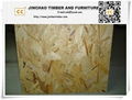 25mm OSB from China 3