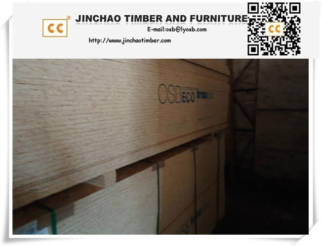 25mm OSB from China 5