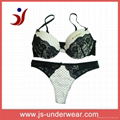 2013 Hot Sexy Bra and Panty set with Black Lace 5