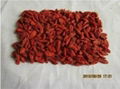 dried goji berry 280 grains/50g 1