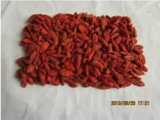 dried goji berry 280 grains/50g