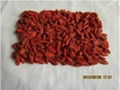 dried goji berry 380 grains/50g