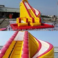 gaint customized amusement inflatable slide  1