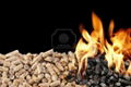 biomass pellets burner 3