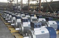 DSB series conveyor explosion proof three-phase asynchronous motor