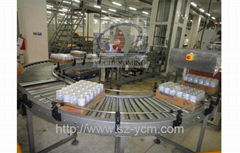 Roller conveyor systems