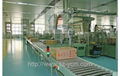 Roller conveyor systems 2