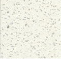 GLASS QUARTZ KITCHEN TOP 1