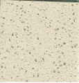 GLASS QUARTZ KITCHEN TOP 2