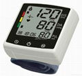 Hearth care electronic blood pressure