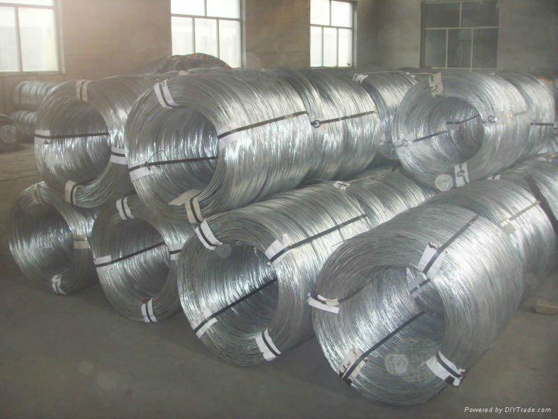 Galvanized iron wire  3