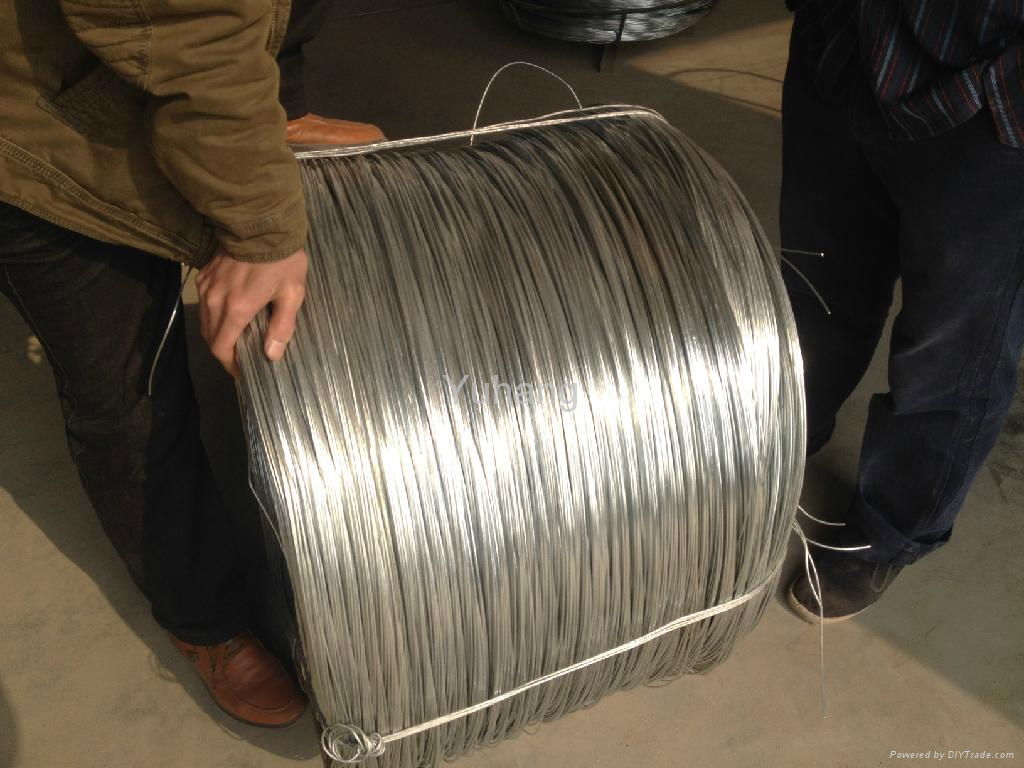 Galvanized iron wire  2