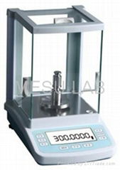 Electronic Balance